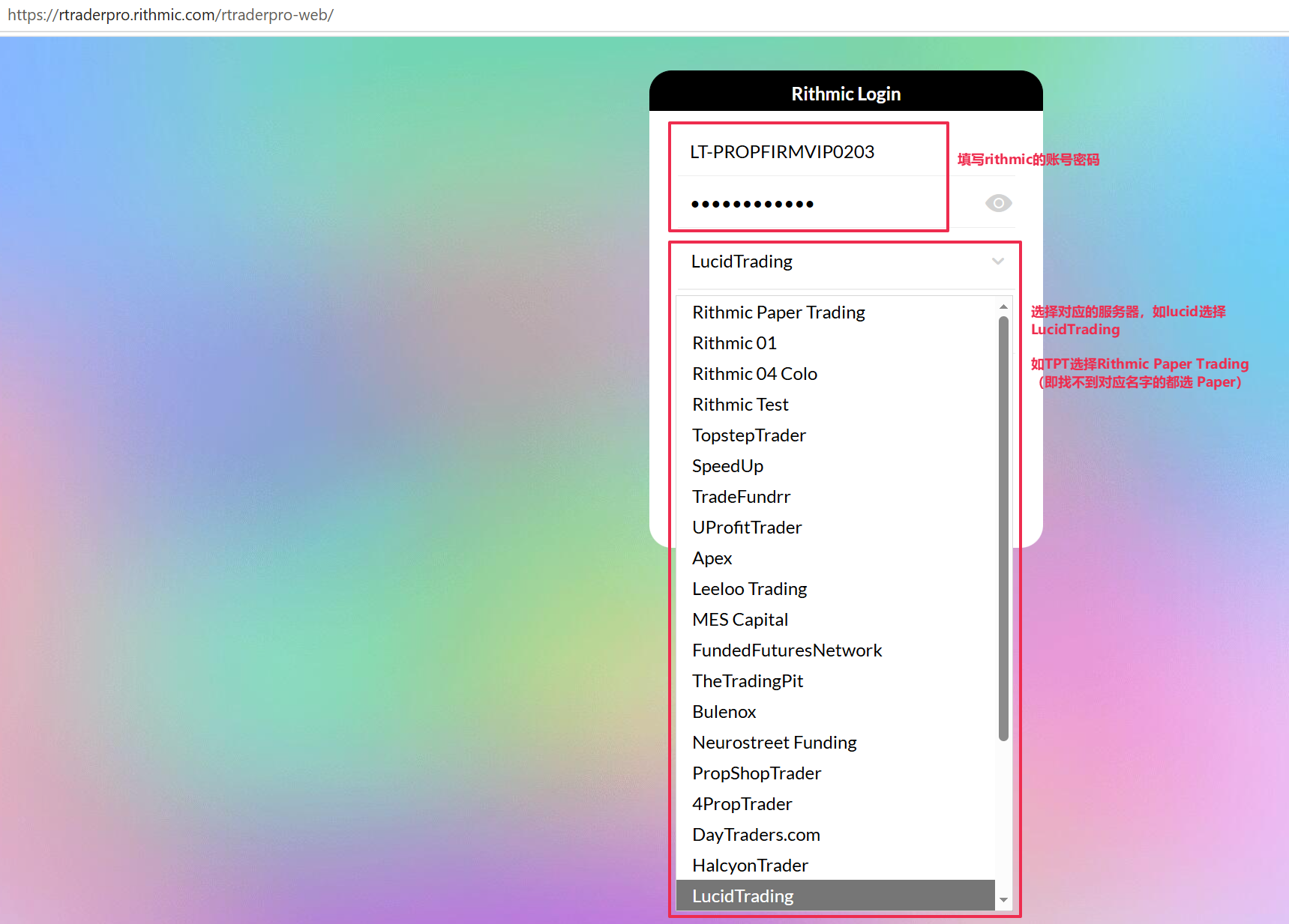 Rithmic 网页版 软件使用教程